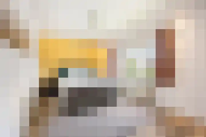 Heerweg 54 Echt thumbnail 24