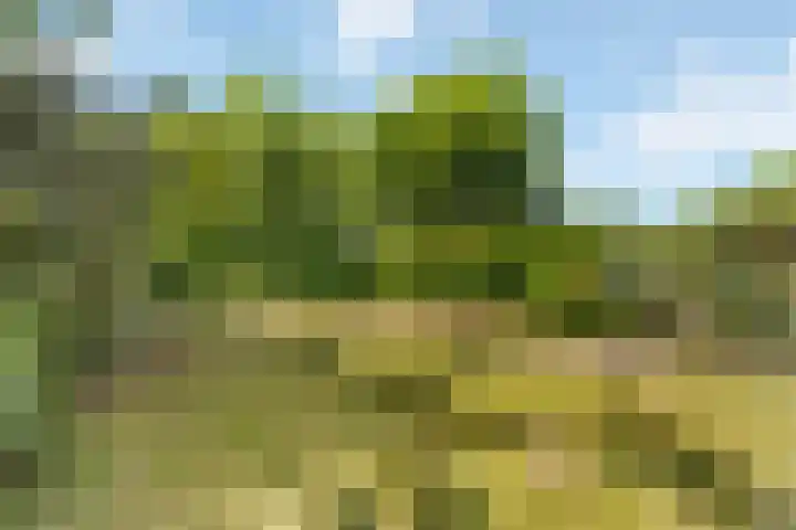 Heerweg 54 Echt thumbnail 29