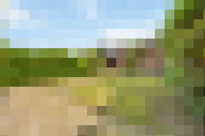 Heerweg 54 Echt thumbnail 30