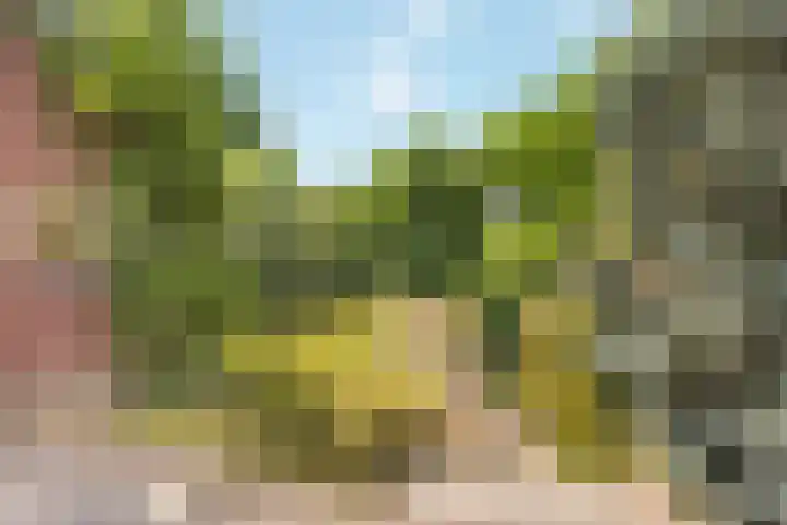 Heerweg 54 Echt thumbnail 33