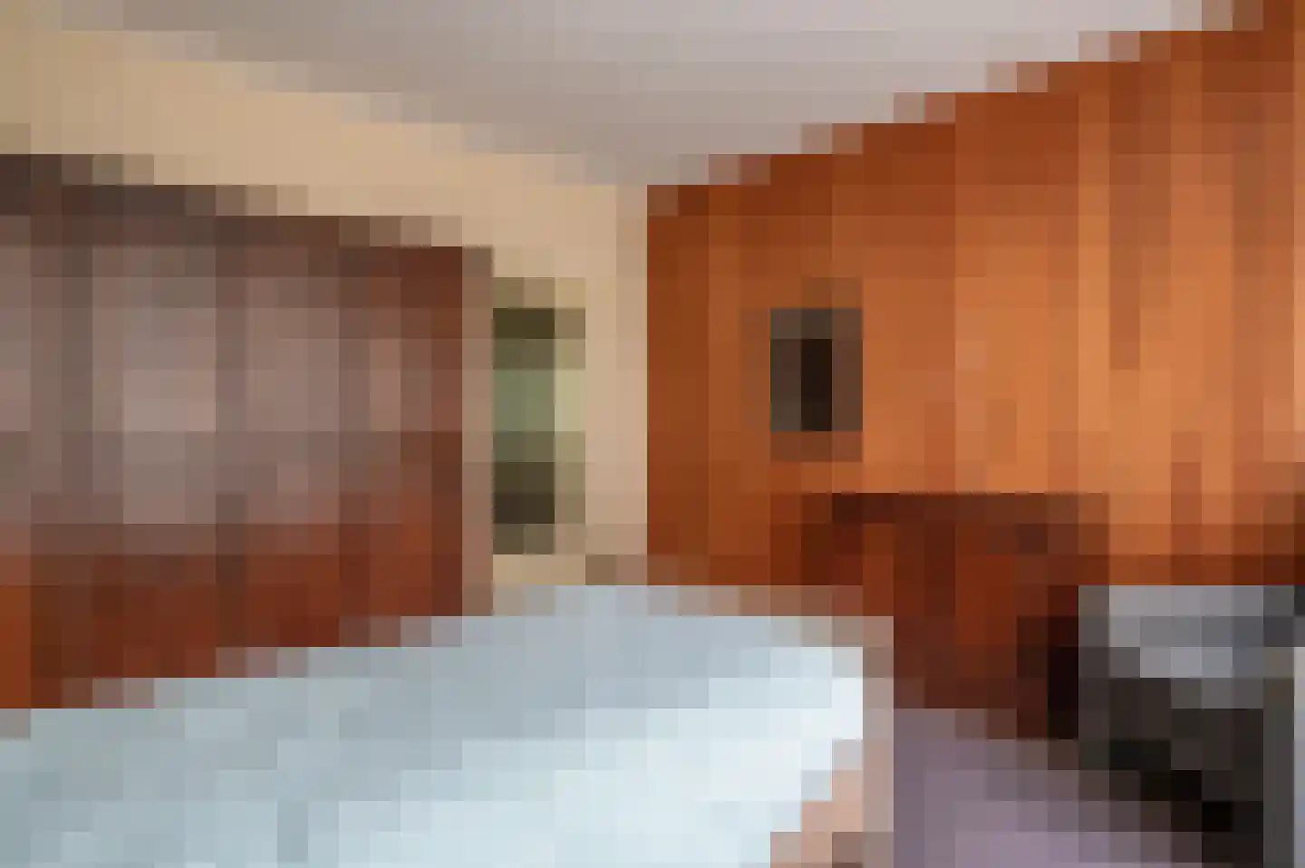 Hees 28 Ruinen thumbnail 11