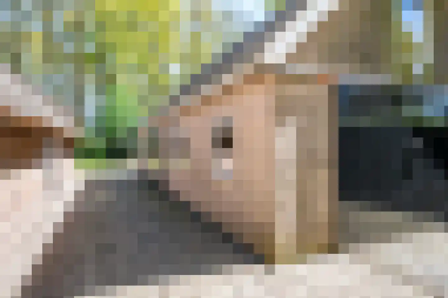 Hees 28 Ruinen thumbnail 32