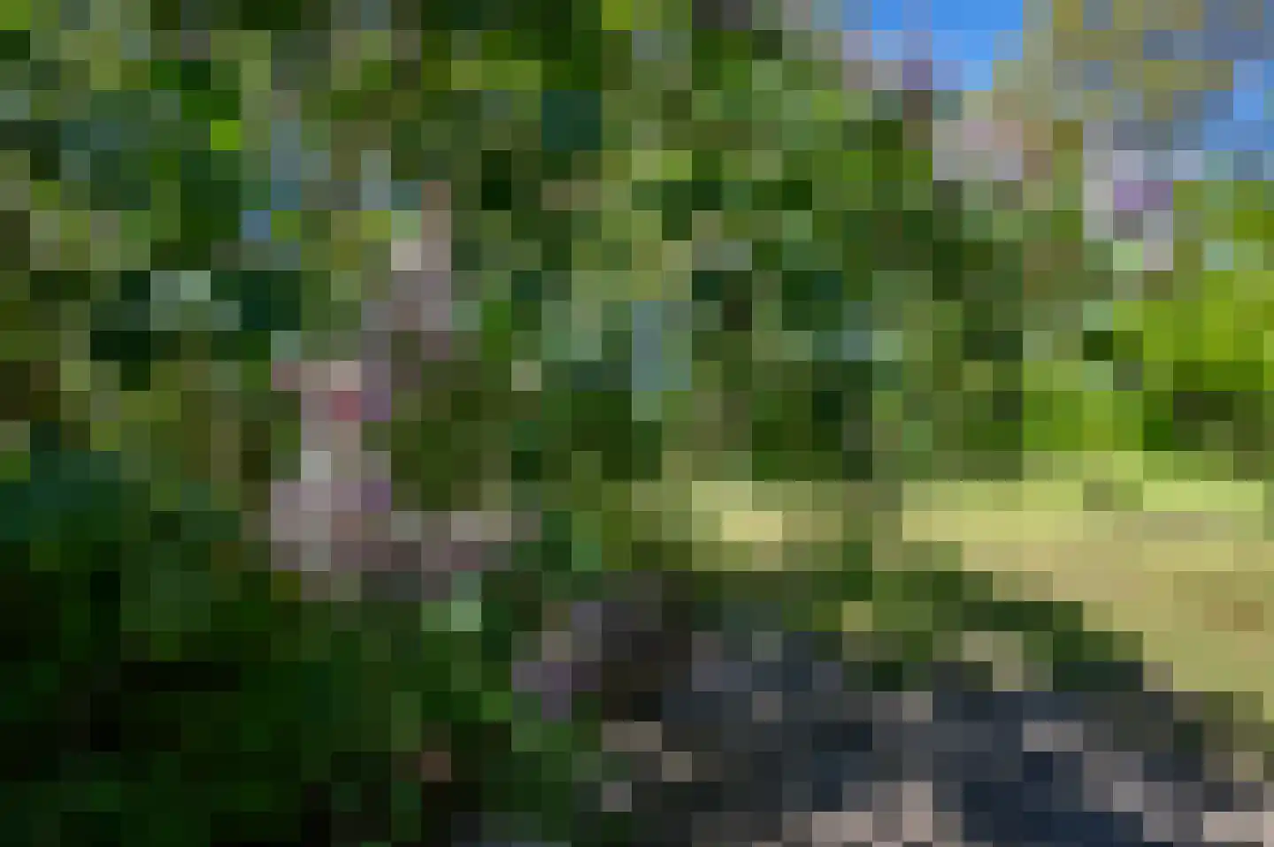Hees 28 Ruinen thumbnail 41