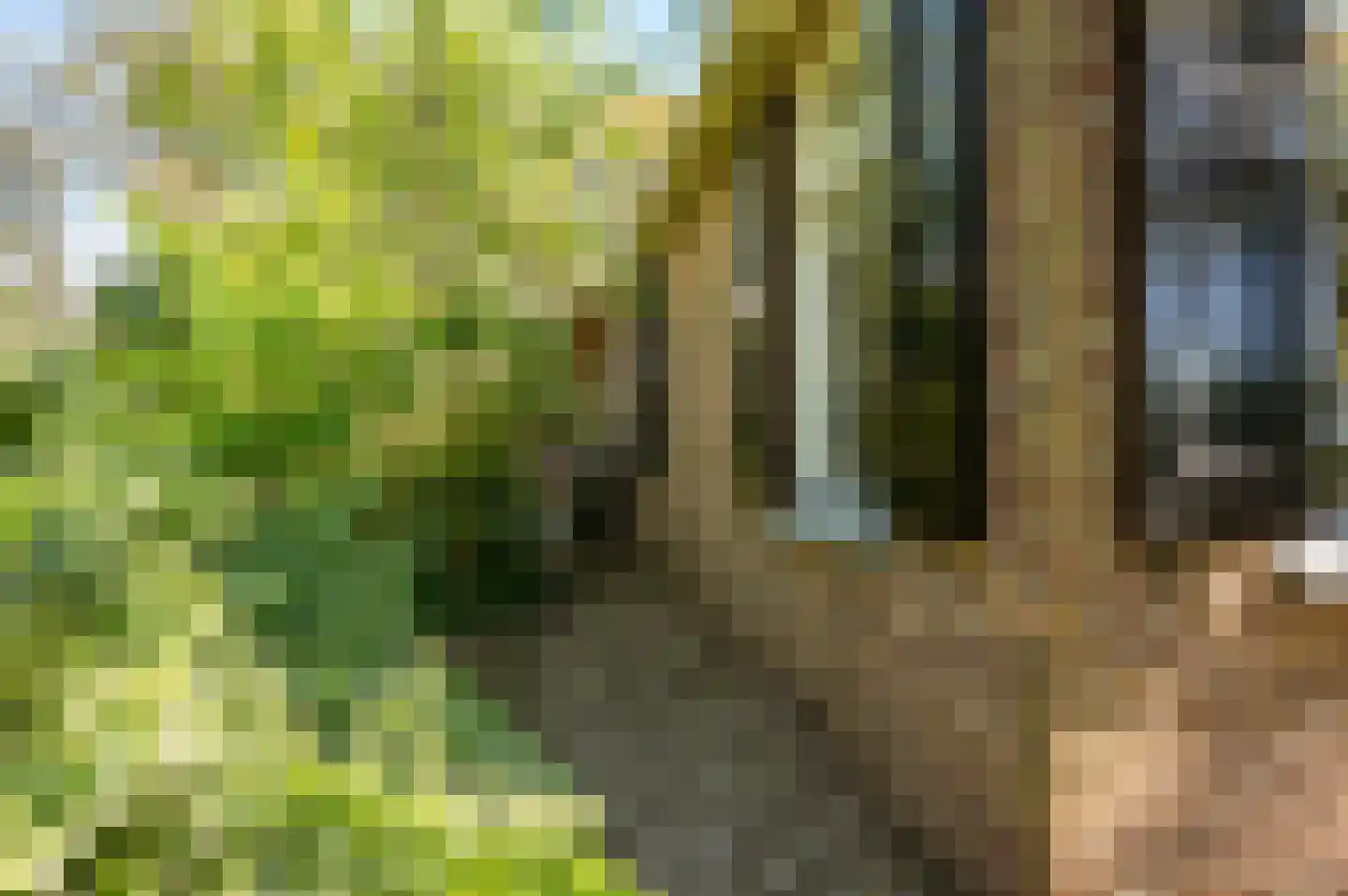 Hees 28 Ruinen thumbnail 42