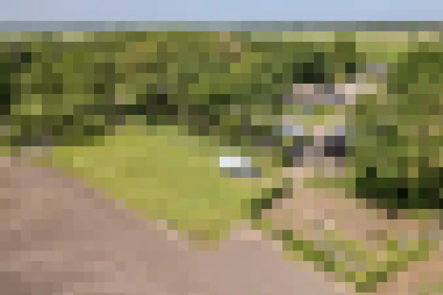 Hees 30 Ruinen thumbnail 103