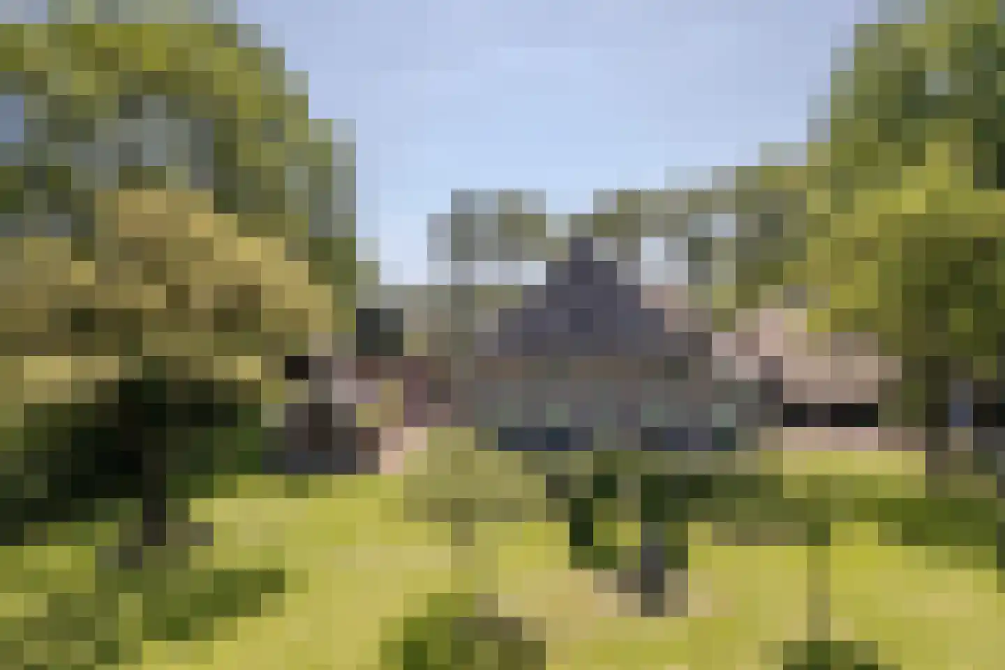 Hees 30 Ruinen thumbnail 4