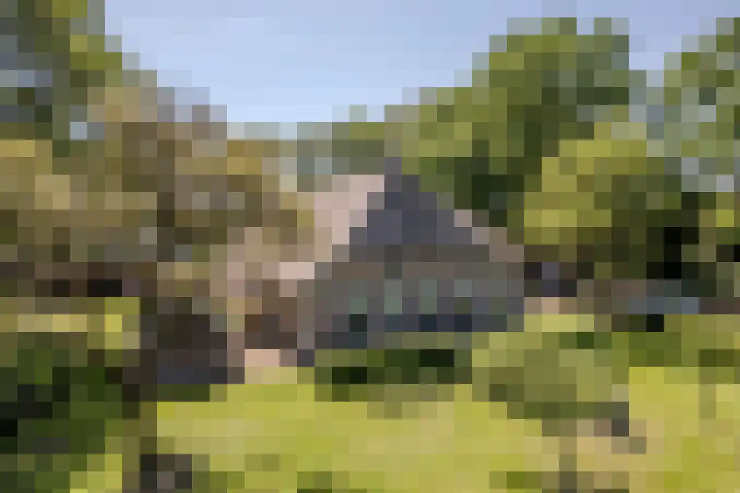 Hees 30 Ruinen thumbnail 5