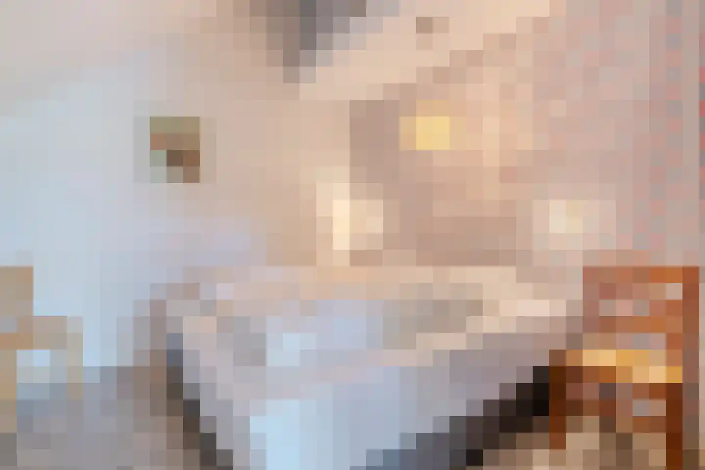 Hees 30 Ruinen thumbnail 50