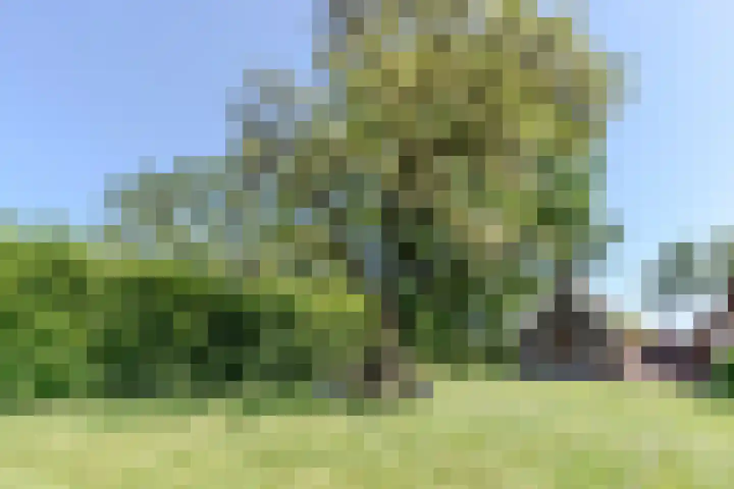 Hees 30 Ruinen thumbnail 66