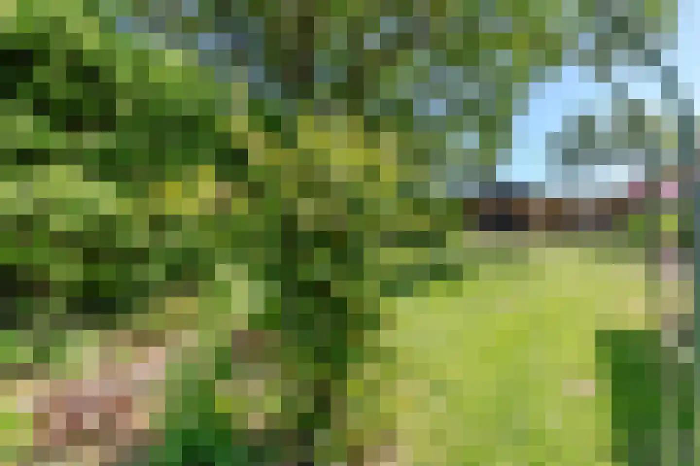 Hees 30 Ruinen thumbnail 67