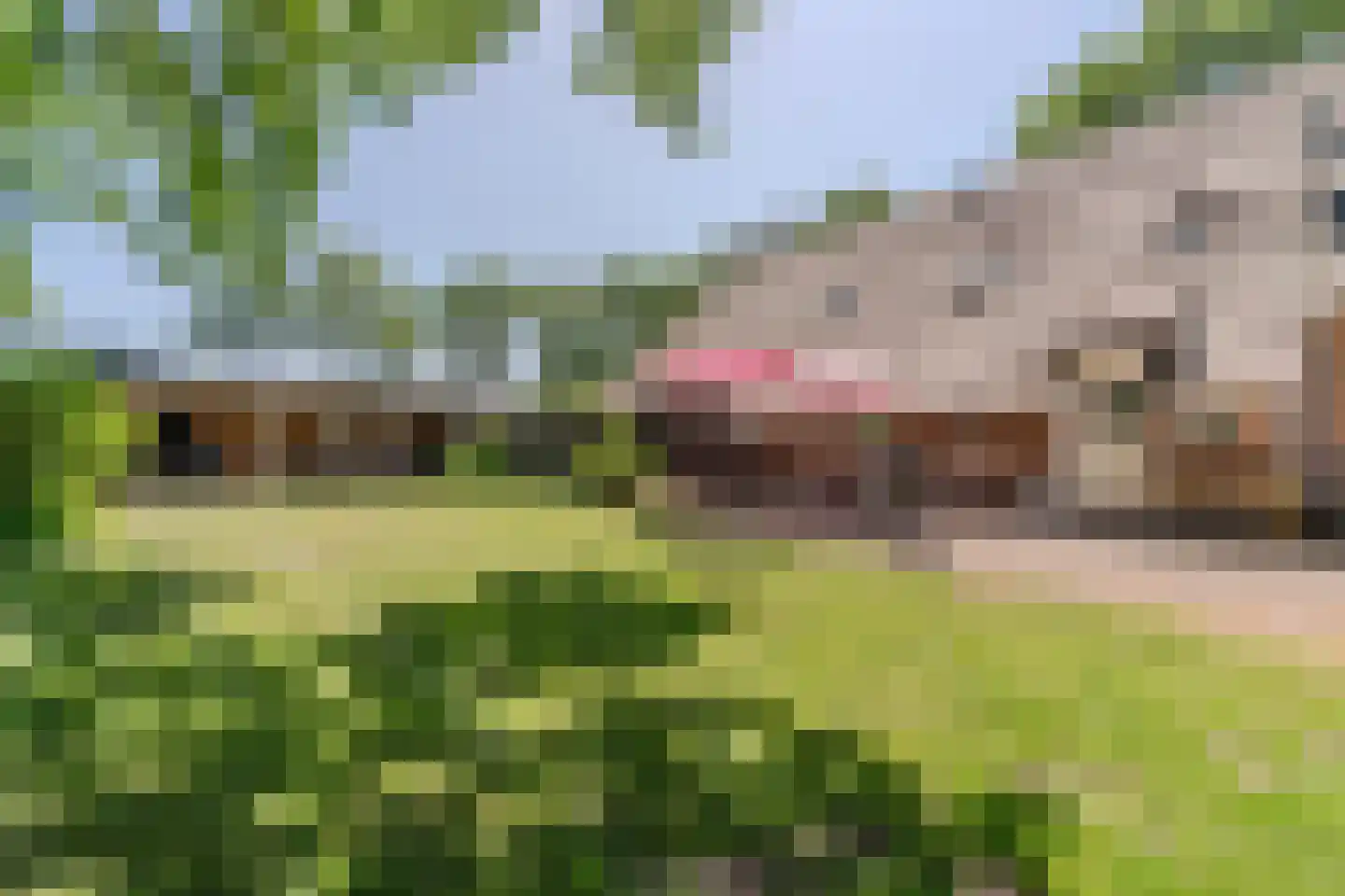 Hees 30 Ruinen thumbnail 68