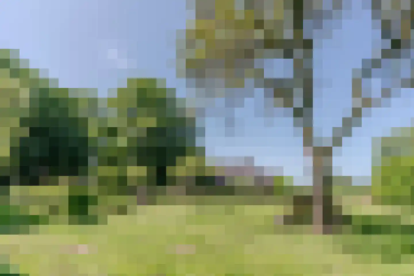Hees 30 Ruinen thumbnail 70