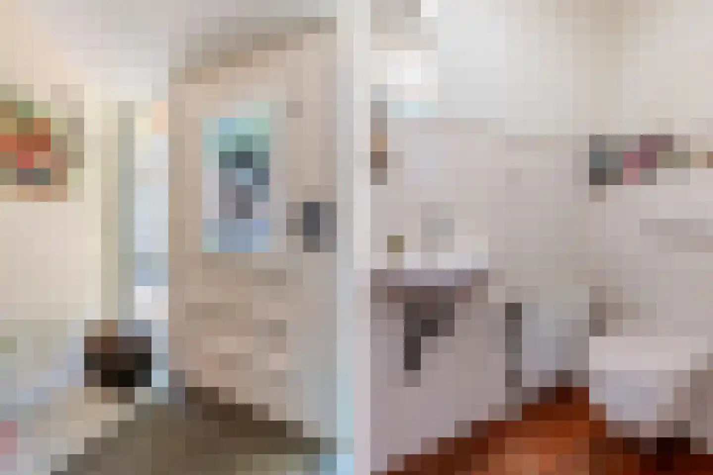 Hees 30 Ruinen thumbnail 8