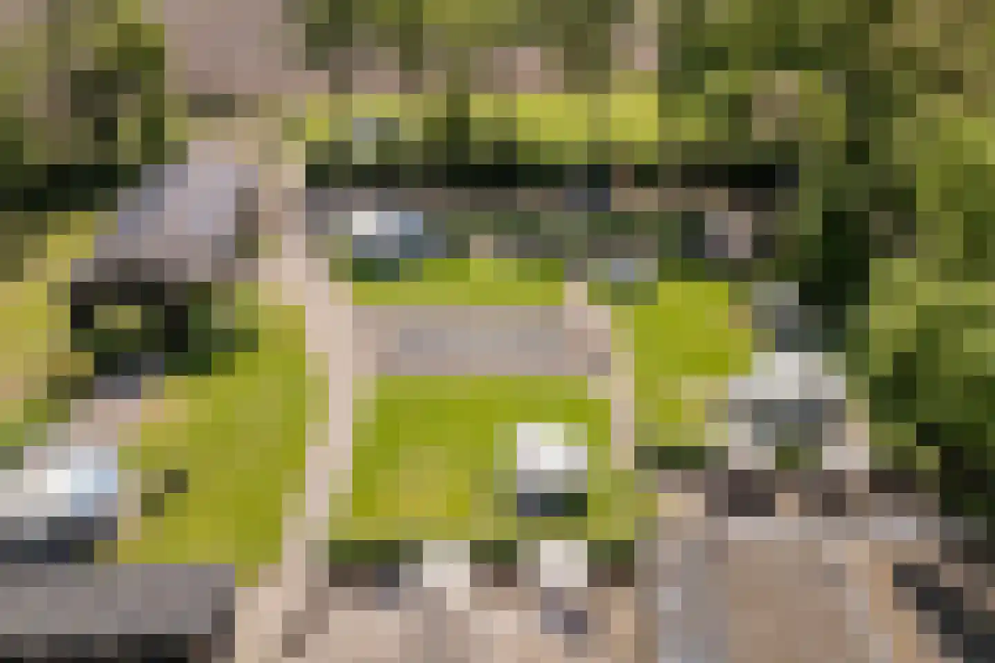 Hees 30 Ruinen thumbnail 94