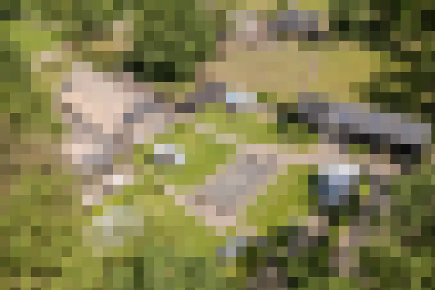 Hees 30 Ruinen thumbnail 95