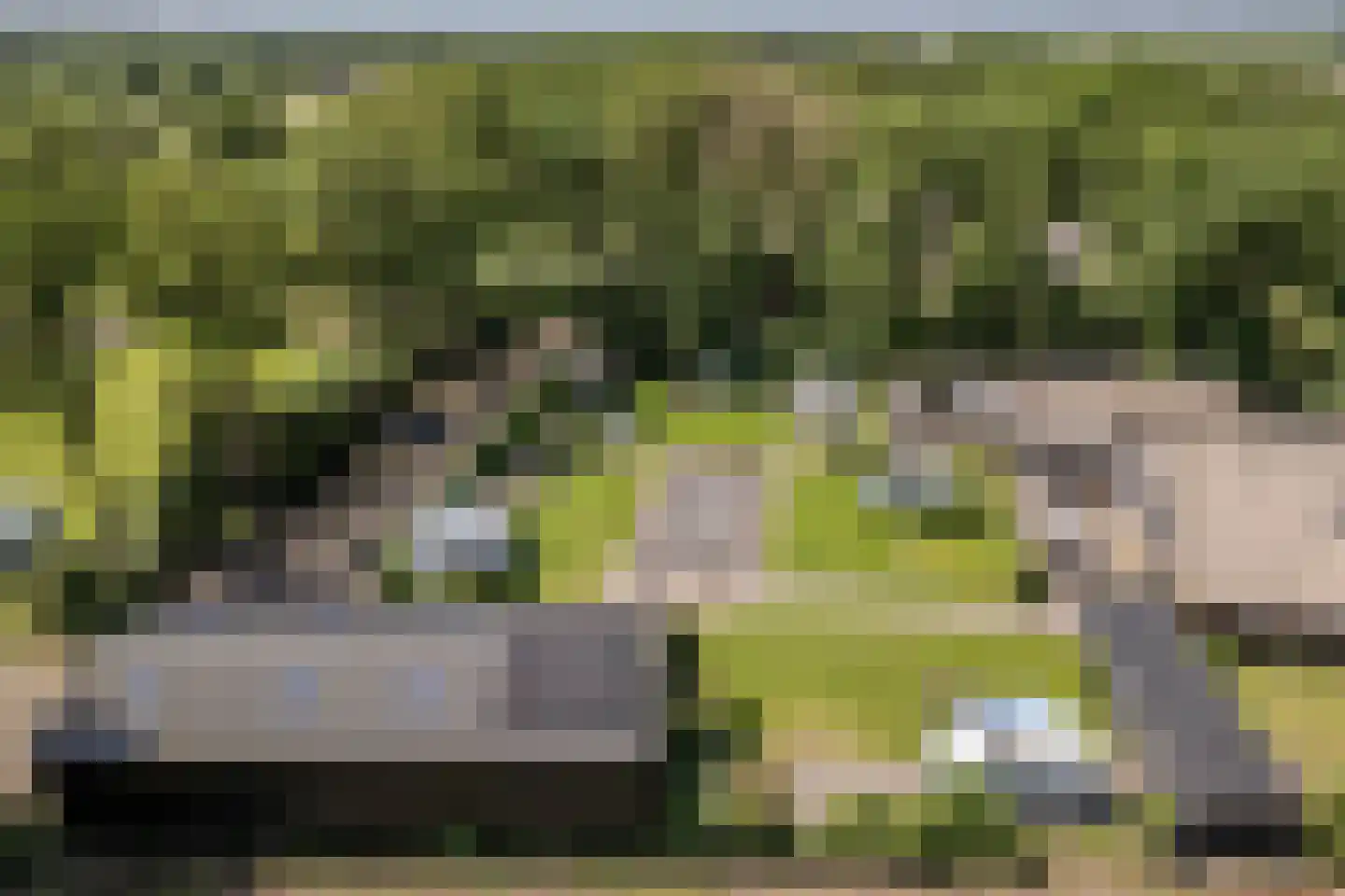 Hees 30 Ruinen thumbnail 96