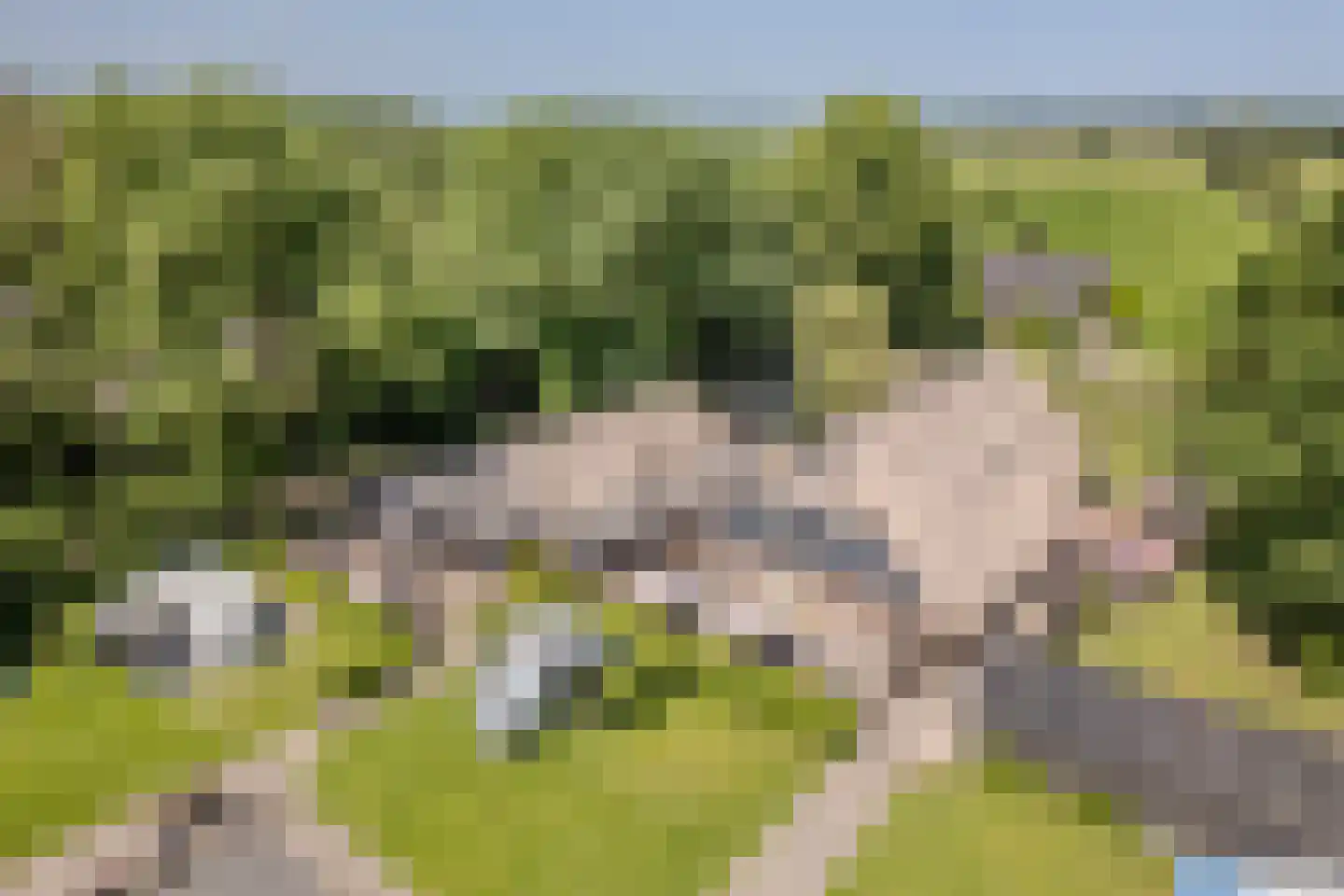 Hees 30 Ruinen thumbnail 97