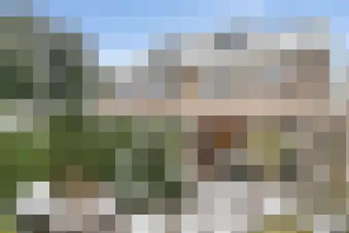 Heesackers 16 Zevenaar thumbnail 29