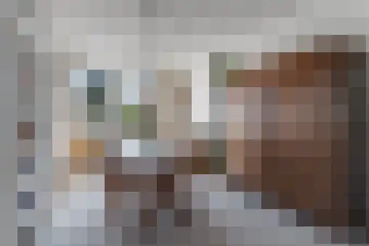 Heesackers 20 Zevenaar thumbnail 10