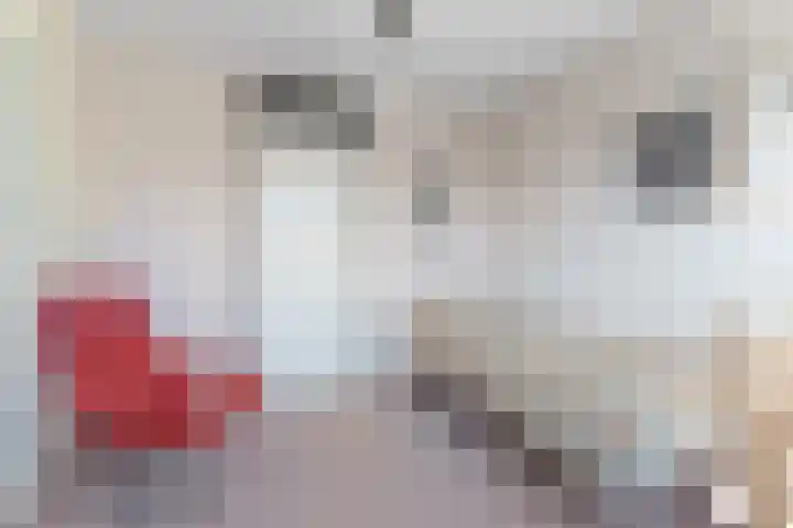 Heesackers 20 Zevenaar thumbnail 18