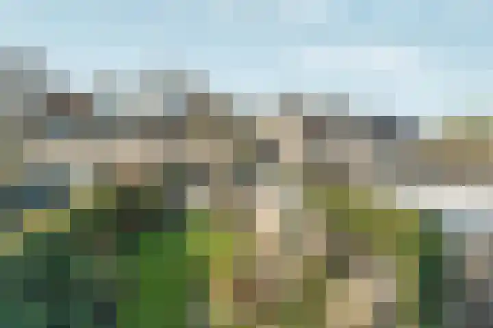 Heesackers 20 Zevenaar foto 2