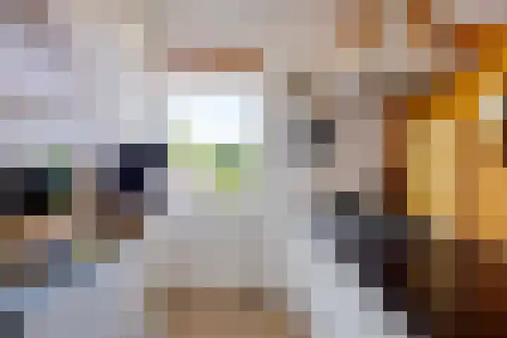 Heesackers 20 Zevenaar thumbnail 30