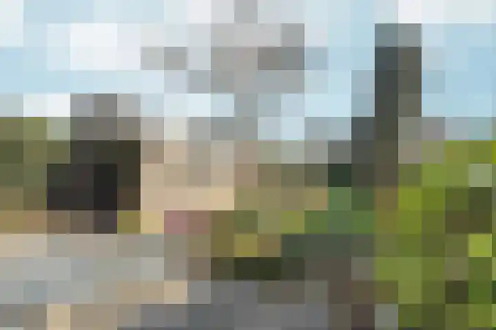 Heesackers 20 Zevenaar thumbnail 32