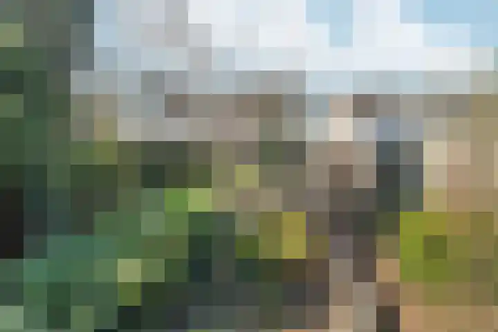 Heesackers 20 Zevenaar thumbnail 34