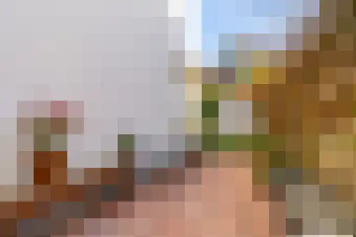 Heesackers 20 Zevenaar thumbnail 36