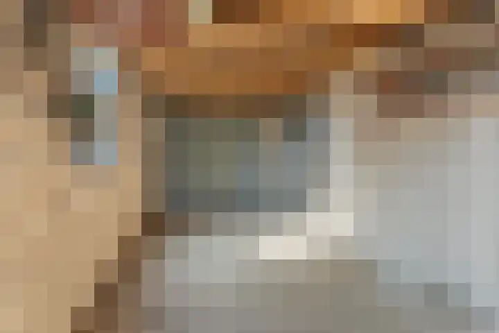 Heesackers 20 Zevenaar thumbnail 36