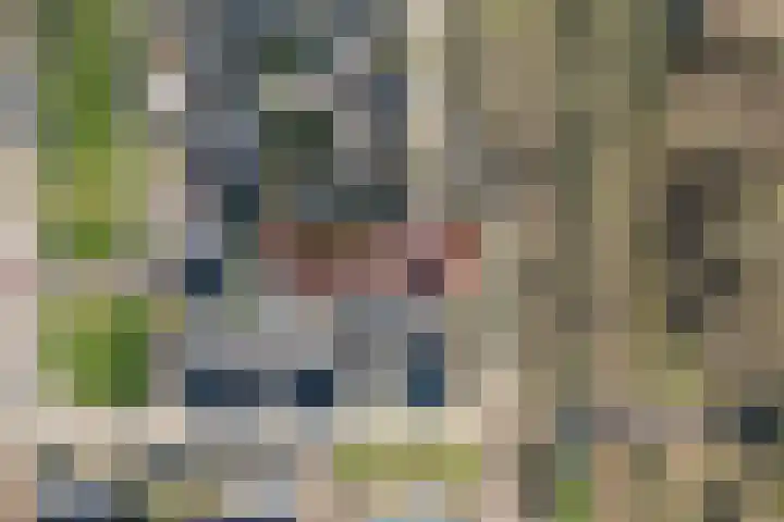 Heesackers 20 Zevenaar thumbnail 38