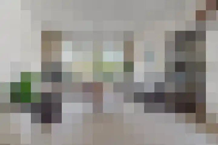 Heesackers 20 Zevenaar thumbnail 4