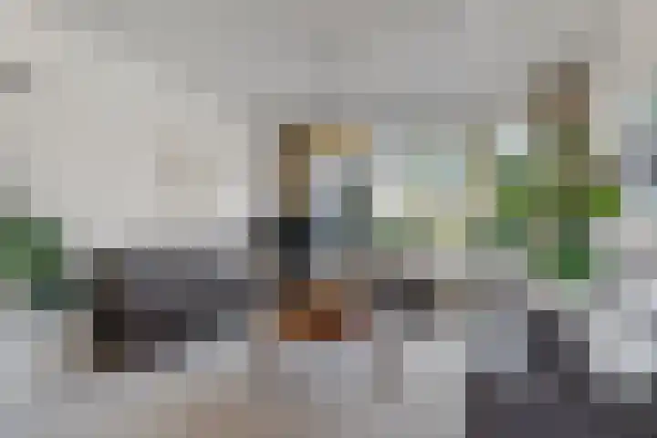 Heesackers 20 Zevenaar thumbnail 7