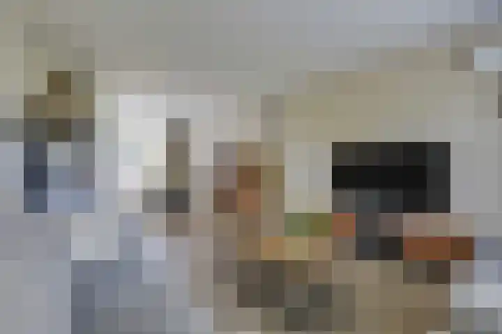 Heesackers 3 Zevenaar thumbnail 28