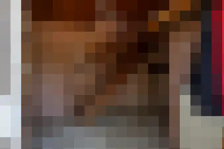 Heesakker 4 b Haaren thumbnail 10