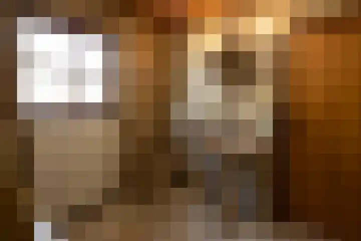 Heesakker 4 b Haaren thumbnail 13