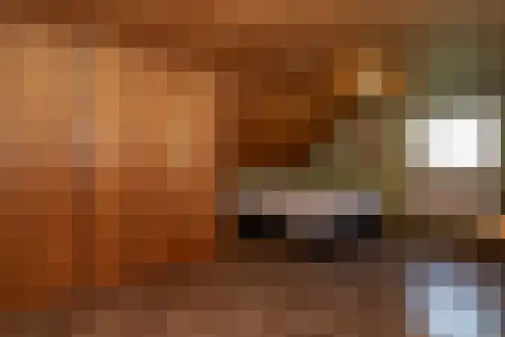 Heesakker 4 b Haaren thumbnail 14