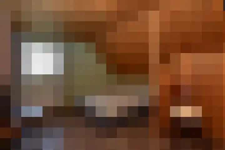 Heesakker 4 b Haaren thumbnail 15