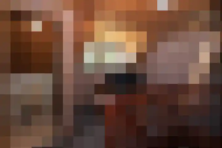 Heesakker 4 b Haaren thumbnail 17