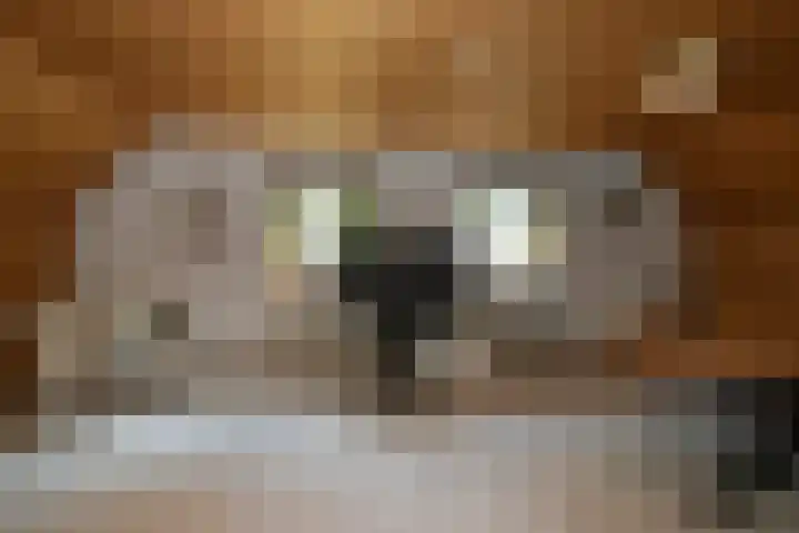 Heesakker 4 b Haaren thumbnail 18