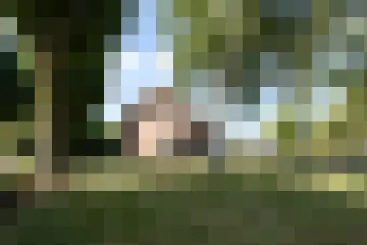 Heesakker 4 b Haaren foto 2