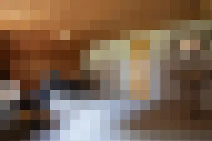 Heesakker 4 b Haaren thumbnail 20