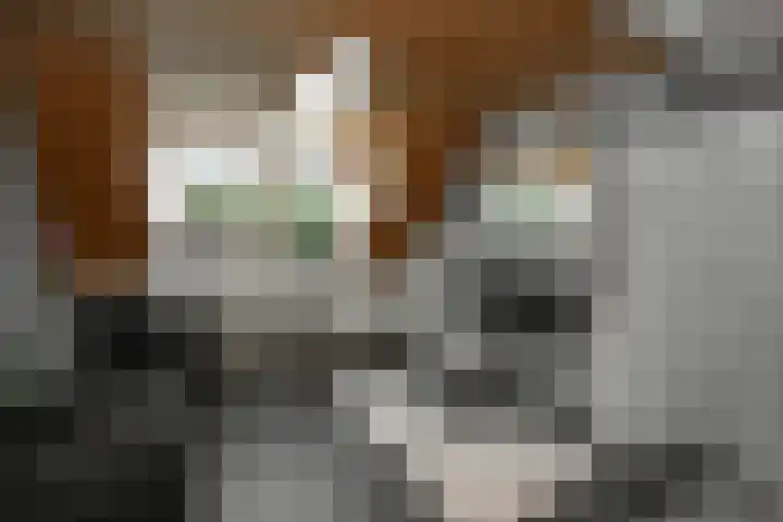 Heesakker 4 b Haaren thumbnail 21
