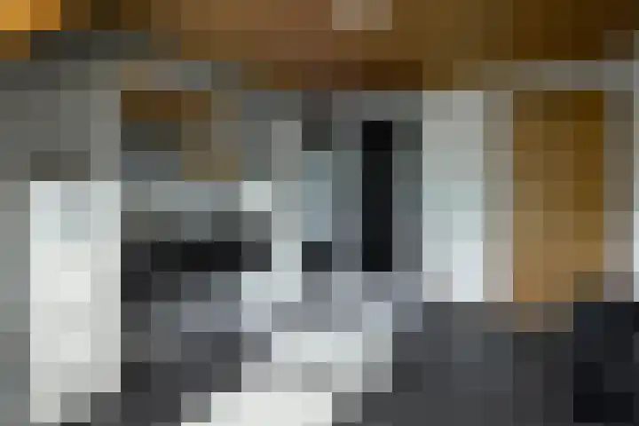 Heesakker 4 b Haaren thumbnail 22