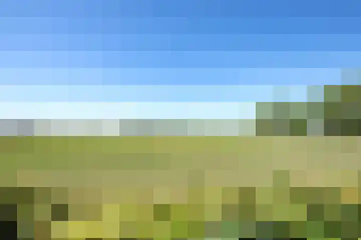 Heesakker 4 b Haaren thumbnail 29