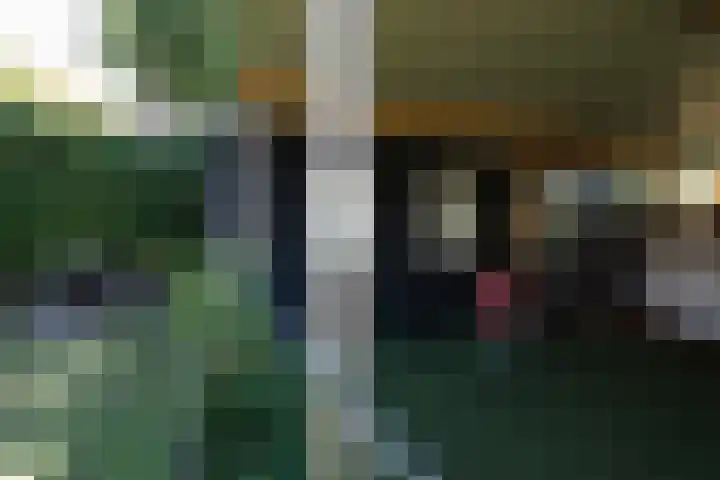 Heesakker 4 b Haaren thumbnail 30