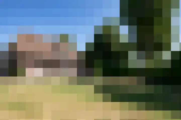 Heesakker 4 b Haaren thumbnail 31