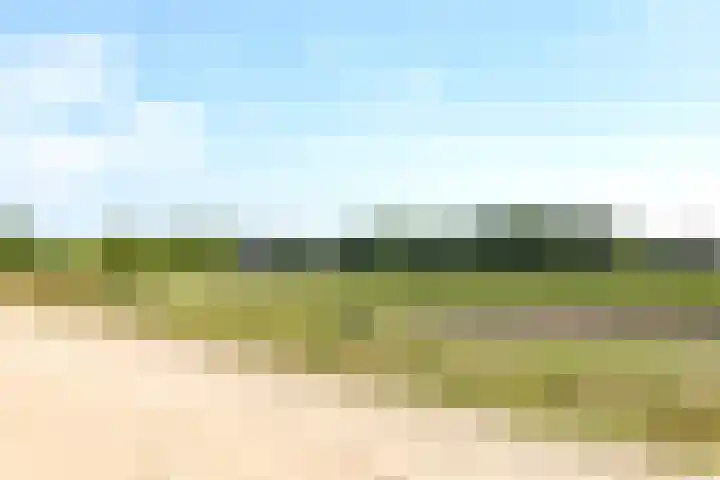 Heesakker 4 b Haaren thumbnail 33