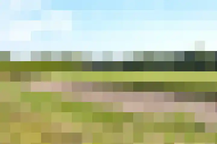 Heesakker 4 b Haaren thumbnail 34