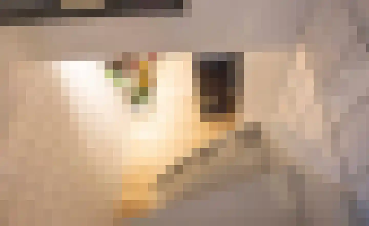 Heesakker 8 Haaren thumbnail 26